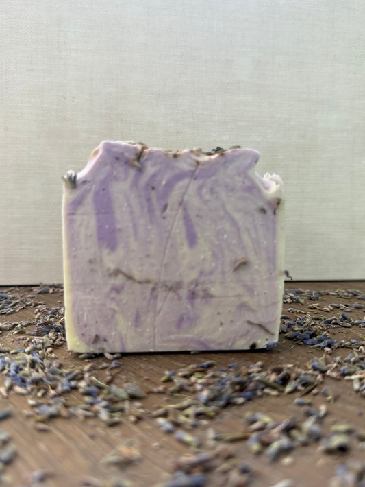 Lavender Fields
